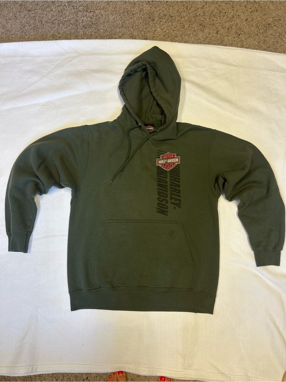 Harley-Davidson Men’s Medium Olive Green Chicago Graphic Hoodie 🏍️